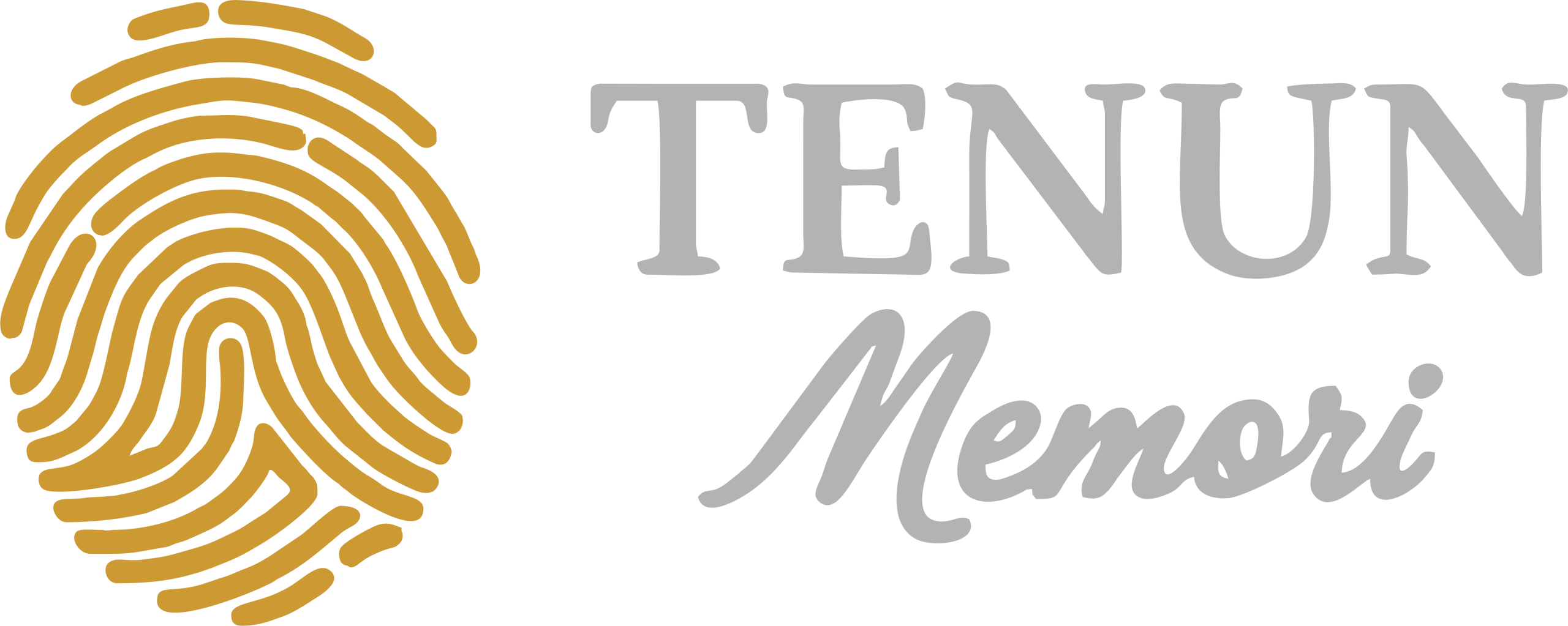 Tenun Memory